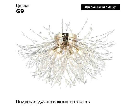 Потолочная люстра Lussole Davie LSP-8782, изображение 2