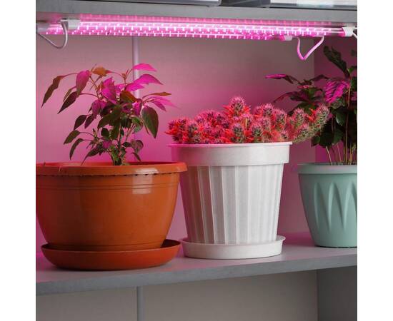 Светильник для растений Эра FITO-3х10W-LINE-RB90 Б0050924, изображение 2