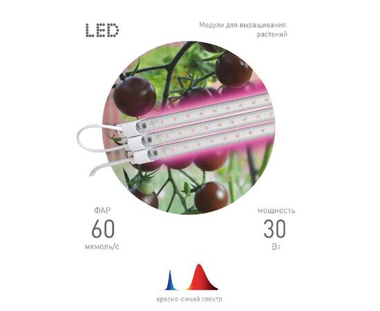 Светильник для растений Эра FITO-3х10W-LINE-RB90 Б0050924, изображение 3