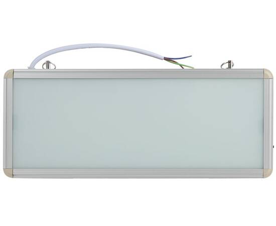 Аварийный светильник Эра SSA-101-0-20 Б0044387