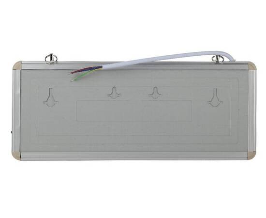 Аварийный светильник Эра SSA-101-1-20 Б0044388, изображение 2
