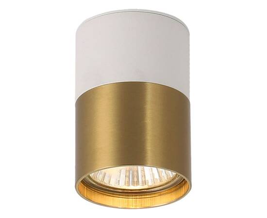 Накладной светильник Lussole Gilbert LSP-8830