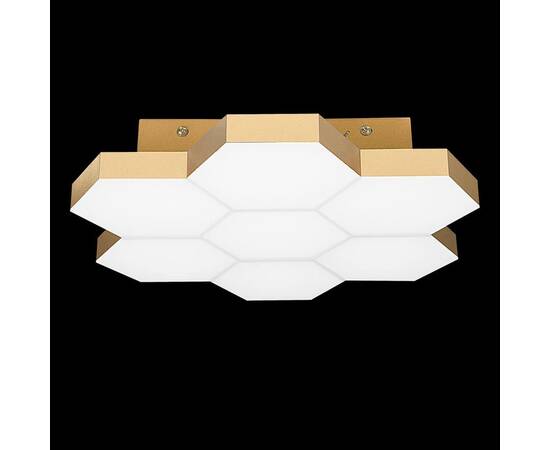 Потолочный светодиодный светильник Lightstar Favo 750071, изображение 2