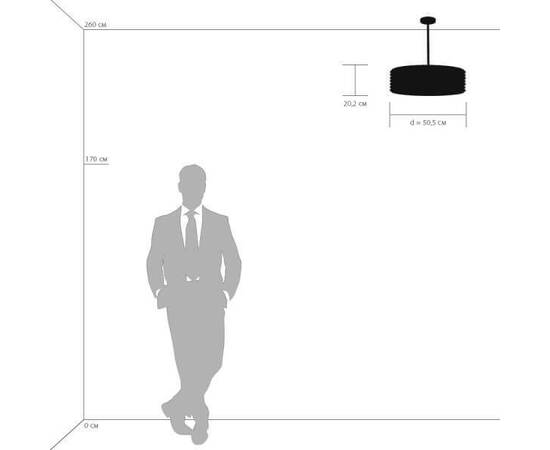 Подвесная люстра Lightstar Amerigo 746068, изображение 2