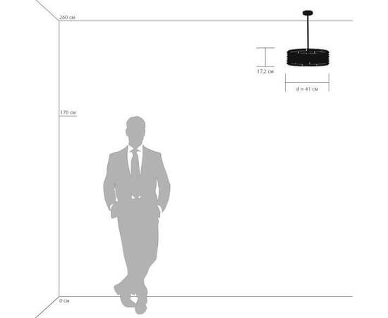 Подвесная люстра Lightstar Amerigo 746048, изображение 3