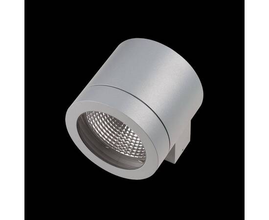 Уличный настенный светильник Lightstar Paro 350619, изображение 3