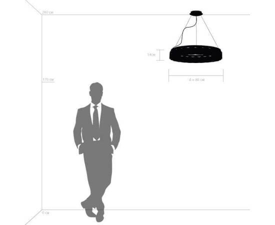 Подвесная светодиодная люстра Lightstar Nibbler 812236, изображение 2