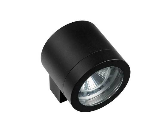 Уличный настенный светильник Lightstar Paro 350617