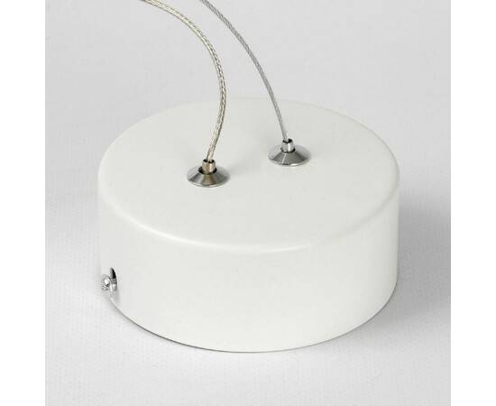 Подвесной светильник Lussole Aberdeen LSP-7085, изображение 5