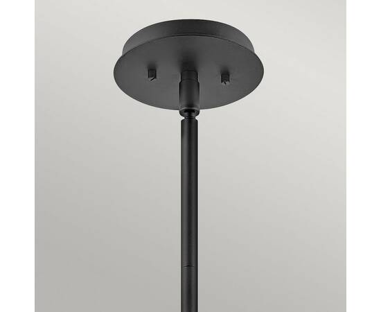 Подвесной светильник Hinkley Lotus QN-LOTUS-P-BLK, изображение 2