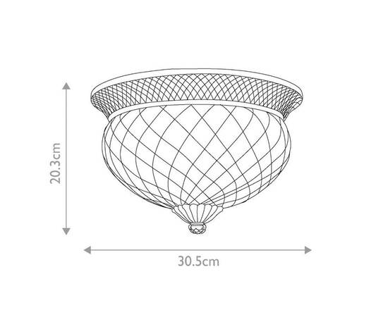 Потолочный светильник Hinkley Plantation HK-PLANT-F-S-PL, изображение 5