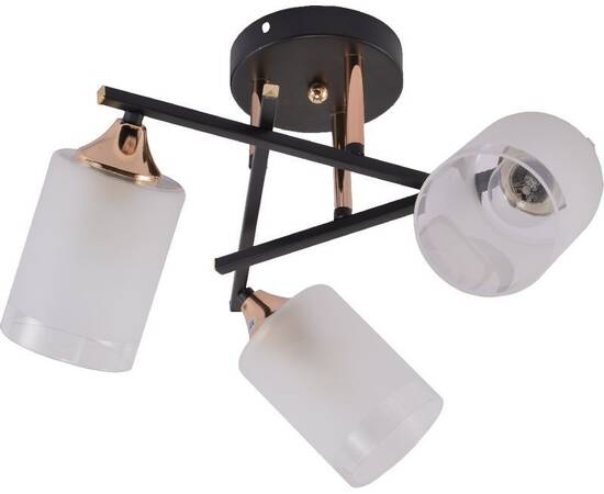 Потолочная люстра Rivoli Fiona 3163-303 Б0059259, изображение 2