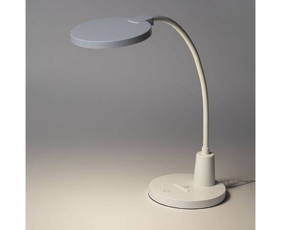 Настольная лампа Эра NLED-501-10W-W Б0059839, изображение 2