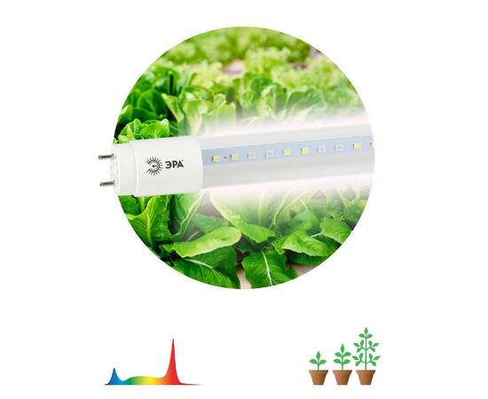 Фитолампа для растений светодиодная Эра G13 18W 1200K FITO-18W-Ra90-Т8-G13-NL Б0042987, изображение 2