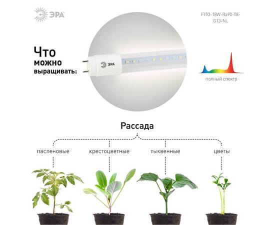 Фитолампа для растений светодиодная Эра G13 18W 1200K FITO-18W-Ra90-Т8-G13-NL Б0042987, изображение 4
