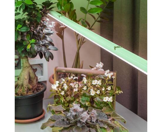 Фитолампа для растений светодиодная Эра G13 18W 1200K FITO-18W-Ra90-Т8-G13-NL Б0042987, изображение 7