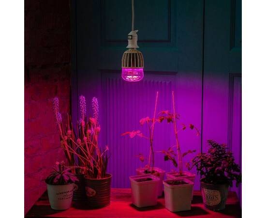 Лампа светодиодная для растений (11098) Uniel E27 20W прозрачная LED-M80-20W/SP/E27/CL ALS55WH, изображение 4