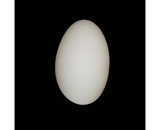 Настенный светильник Lightstar Sferetta 801600, изображение 3