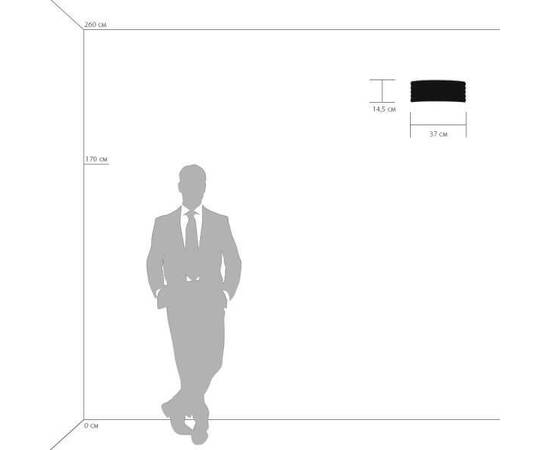 Настенный светильник Lightstar Amerigo 746618, изображение 2