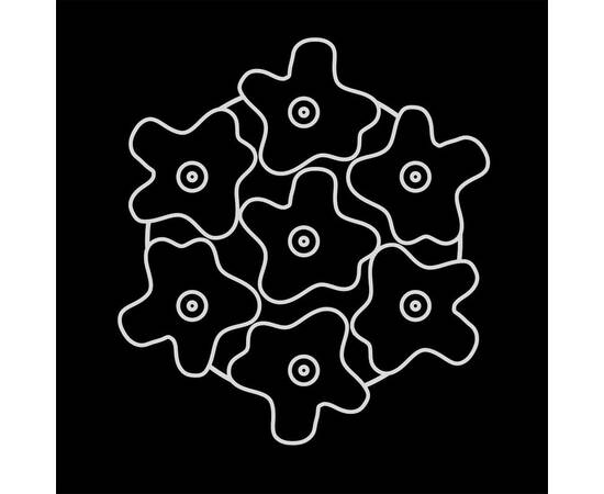 Потолочная люстра Lightstar Nubi 802070, изображение 4