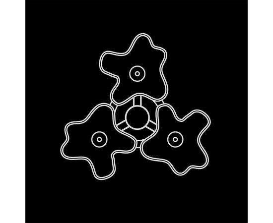 Потолочная люстра Lightstar Nubi 802030, изображение 4