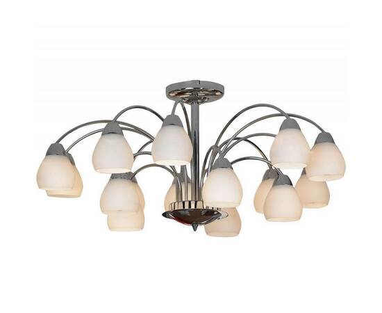 Потолочная люстра Lussole Apiro LSF-2403-15