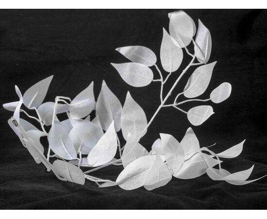 Потолочная люстра Lussole Lgo LSP-0199, изображение 2