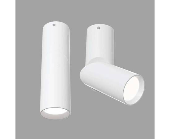 Светодиодный спот Maytoni Dafne C027CL-L10W