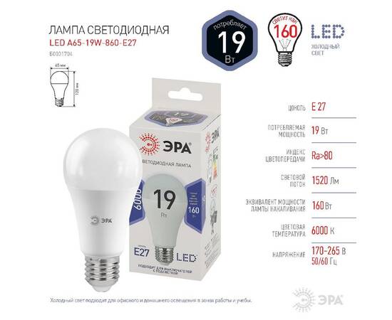 Лампа светодиодная Эра E27 19W 6000K LED A65-19W-860-E27 Б0031704, изображение 5