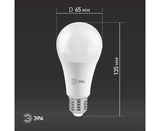 Лампа светодиодная Эра E27 25W 4000K LED A65-25W-840-E27 Б0035335, изображение 4
