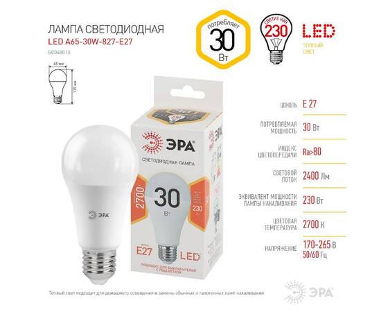 Лампа светодиодная Эра E27 30W 2700K LED A65-30W-827-E27 Б0048015