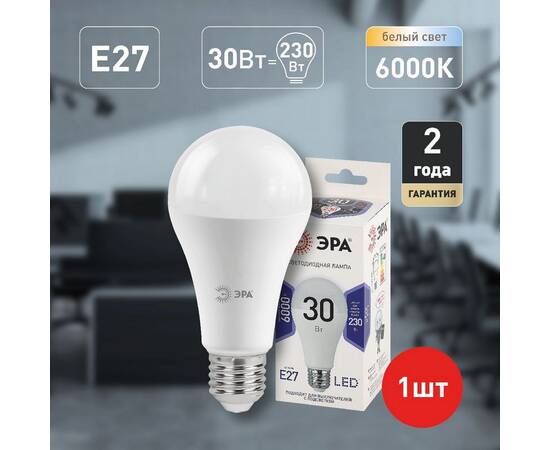 Лампа светодиодная Эра E27 30W 6000K LED A65-30W-860-E27 Б0048017, изображение 4