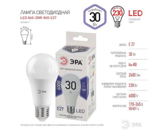 Лампа светодиодная Эра E27 30W 6000K LED A65-30W-860-E27 Б0048017, изображение 5