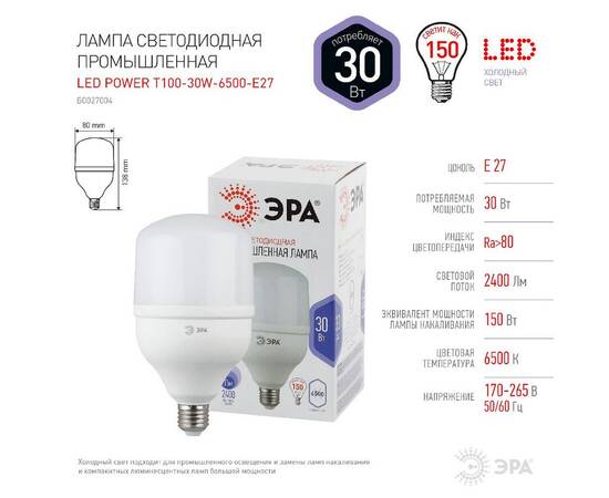 Лампа светодиодная Эра E27 30W 6500K LED POWER T100-30W-6500-E27 Б0027004, изображение 3