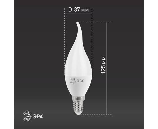 Лампа светодиодная Эра E14 11W 4000K LED BXS-11W-840-E14 Б0032993, изображение 6