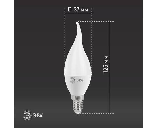 Лампа светодиодная Эра E14 11W 6000K LED BXS-11W-860-E14 Б0032994, изображение 6