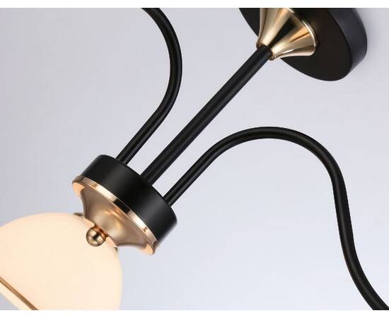 Люстра на штанге Ambrella Light Modern TR3161, изображение 5