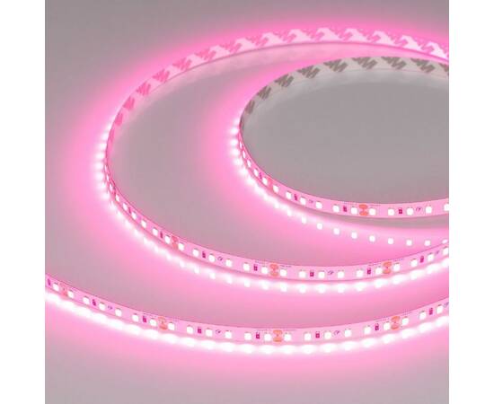 Светодиодная лента Arlight RT-A120-8mm 24V Pink (9.6 W/m, IP20, 2835, 5m) 043380, изображение 2