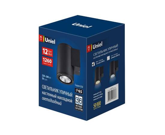 Уличный настенный светильник Uniel ULU-S21С-12W/2700K IP65 BLACK UL-00010845, изображение 2