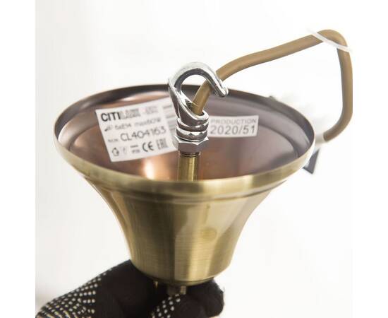 Подвесная люстра Citilux Кармен CL404183, изображение 2
