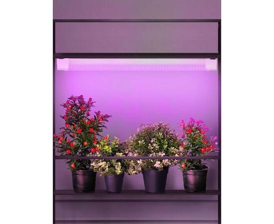 Светильник для растений Эра FITO-24W-RB-N Б0061425, изображение 2