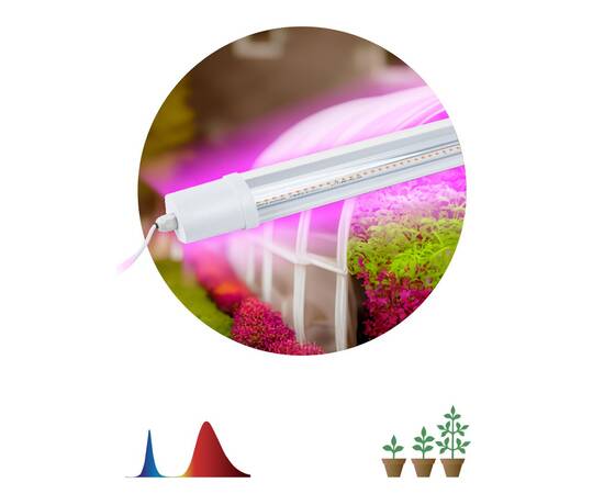 Светильник для растений Эра FITO-24W-RB-N Б0061425, изображение 3