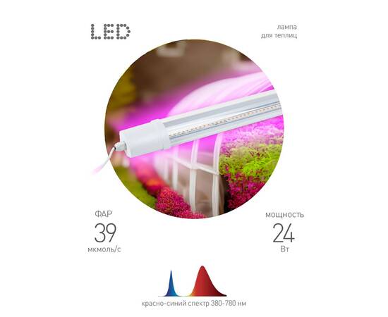 Светильник для растений Эра FITO-24W-RB-N Б0061425, изображение 4