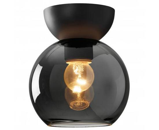 Потолочный светильник iLamp Mono C6079-1 BK+SM, изображение 2