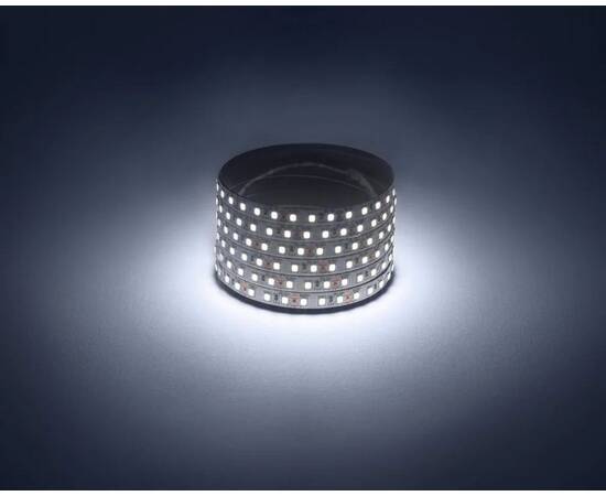 Светодиодная лента ЭРА 4,8W/m 120LED/m 2835SMD белый 5M LS2835-120LED-IP20-W-eco-5m Б0035595, изображение 3