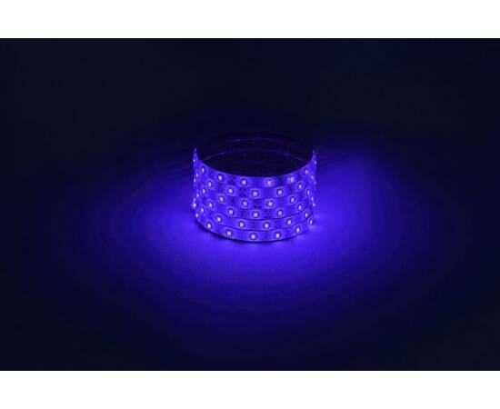 Светодиодная лента Эра 12В 2835 4,8Вт/м синий 5м IP65 LS2835-4,8-60-12-B-IP65-1 year-5m Б0059900
