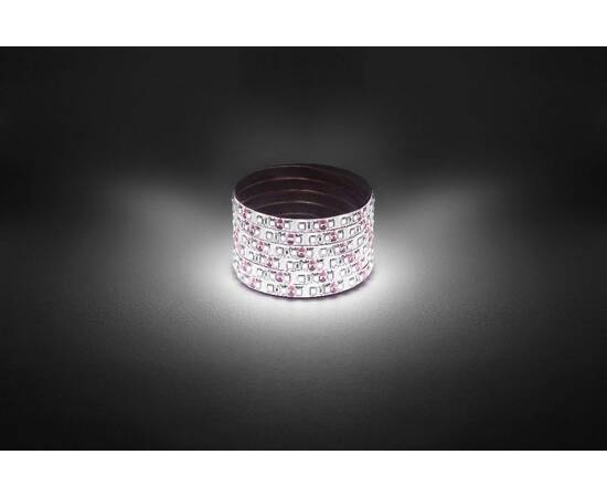 Светодиодная лента Эра 12В 2835 9,6Вт/м 4000K 5м IP65 LS2835-9,6-120-12-4000K-IP65-1 year-5m Б005990