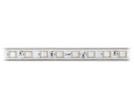 Светодиодная лента Эра 220В 5050 14,4Вт/м RGB 20м IP67 LS5050-14,4-60-220-RGB-IP67-20m Б0043097, изображение 4