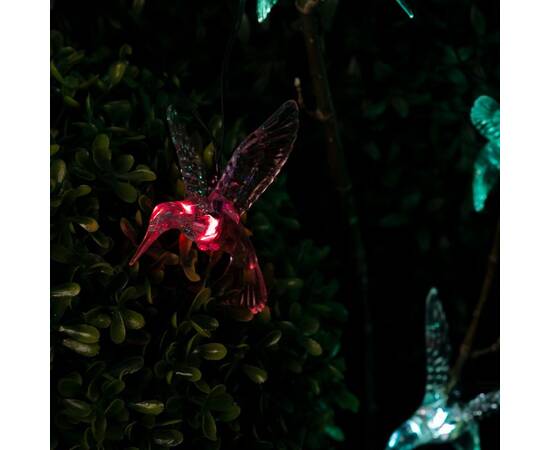 Садовая гирлянда Колибри Эра ERASF22-26 Б0053366, изображение 2