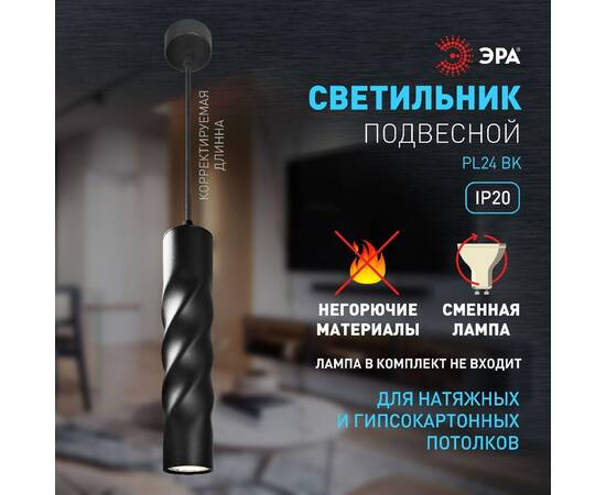 Подвесной светильник Эра PL24 BK Б0059811, изображение 9